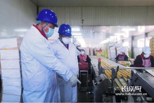 暖心服务助力扶贫微工厂——石家庄供电公司数字化服务实践