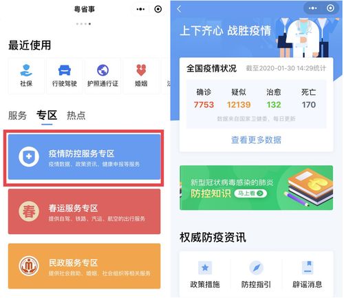 数字广东公司 信息技术咨询服务，我们在这场特殊战役中持续奋战